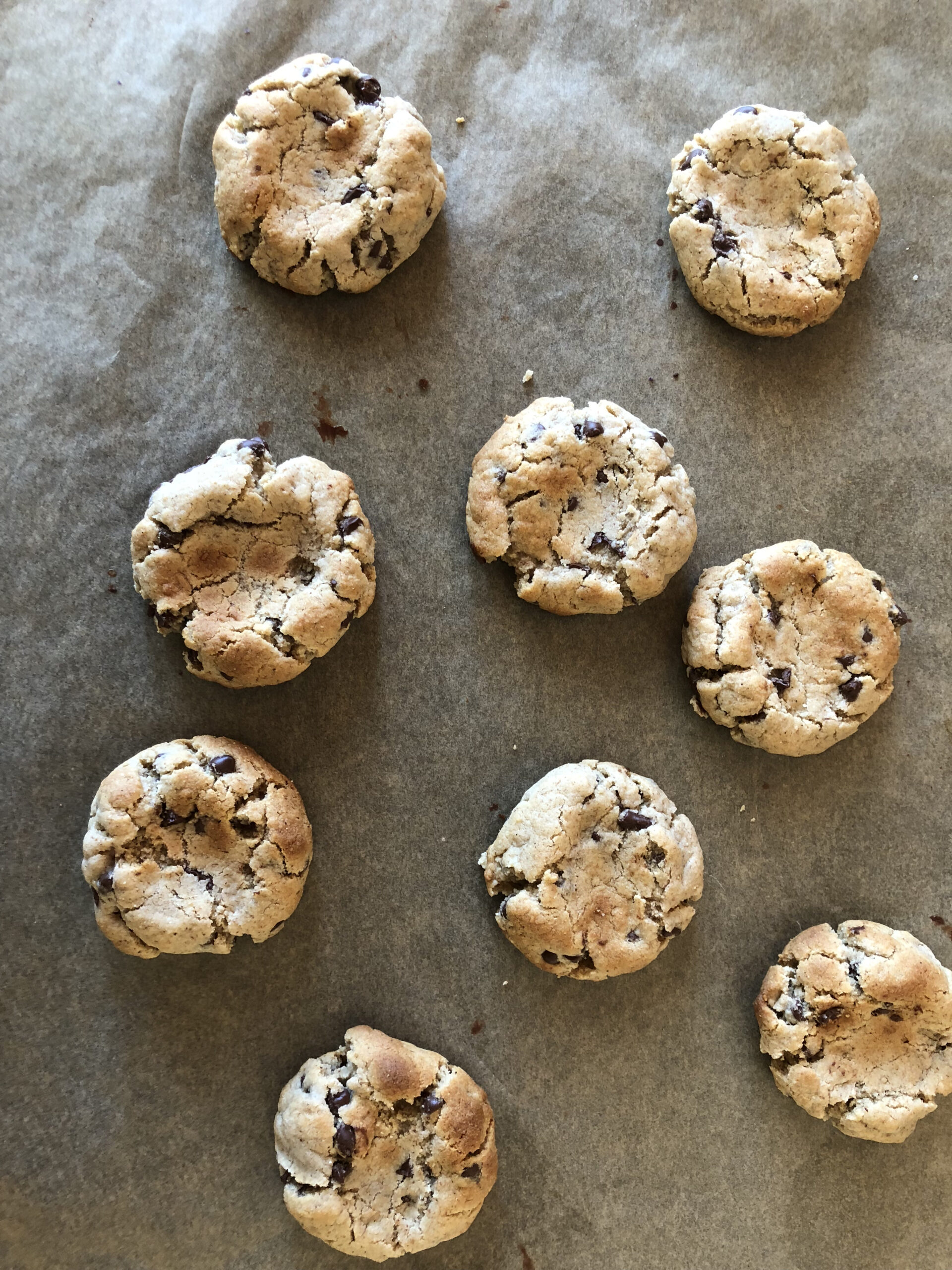 chocolate chip cookies on a baking dish 
